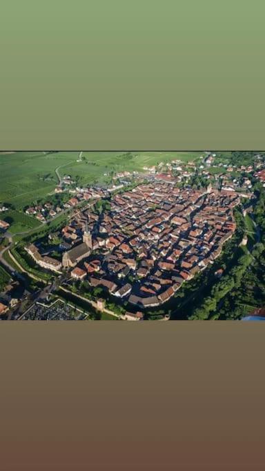 Gite Boniface Pour 2 Pers Bergheim Ngoại thất bức ảnh